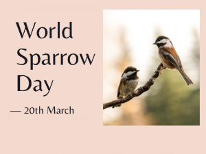 World Sparrow Day
