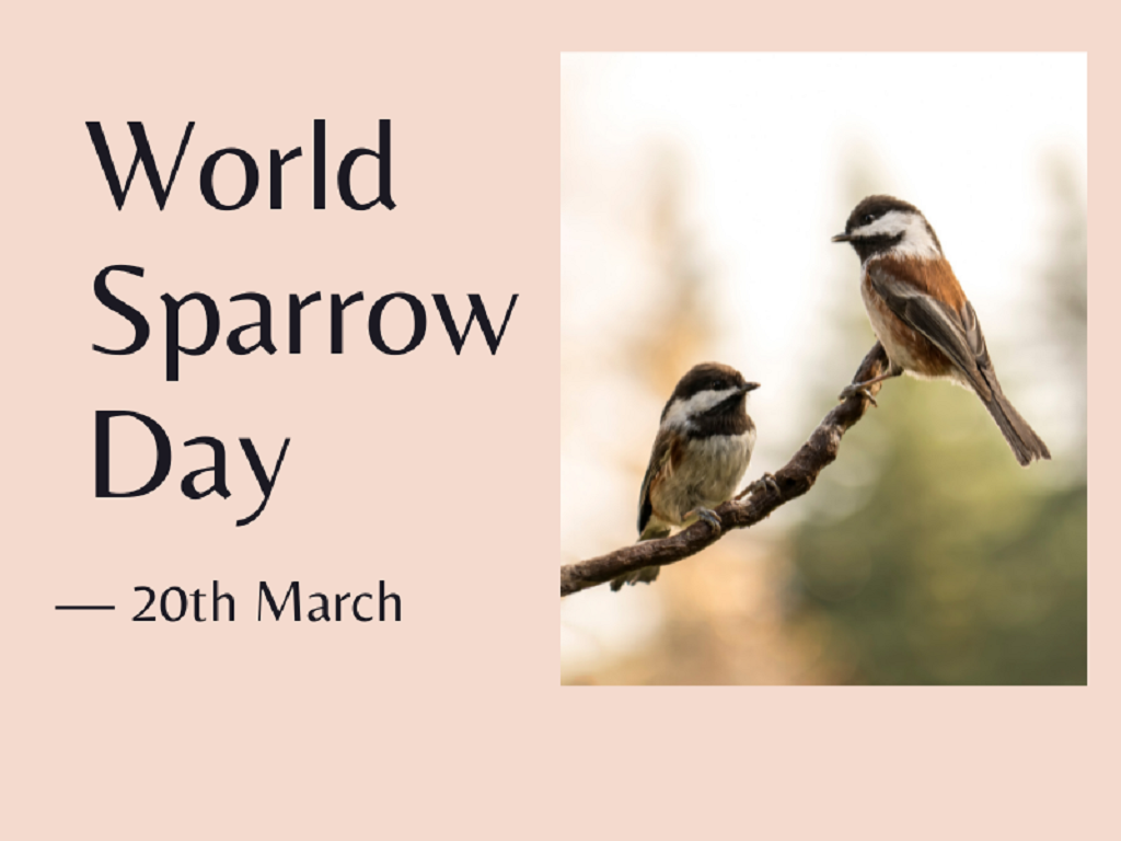 World Sparrow Day — 20th March, 2022