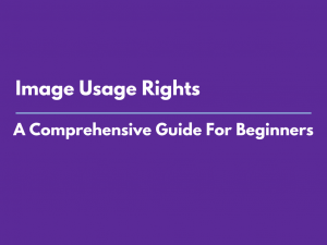 A comprehensive guide to image usage rights