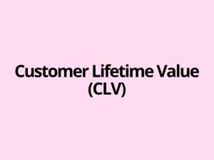 Customer lifetime value is the present value of the profit a customer is expected to generate for a business over the entire future relationship, based on observed behaviour and reasonable assumptions about churn and margin.