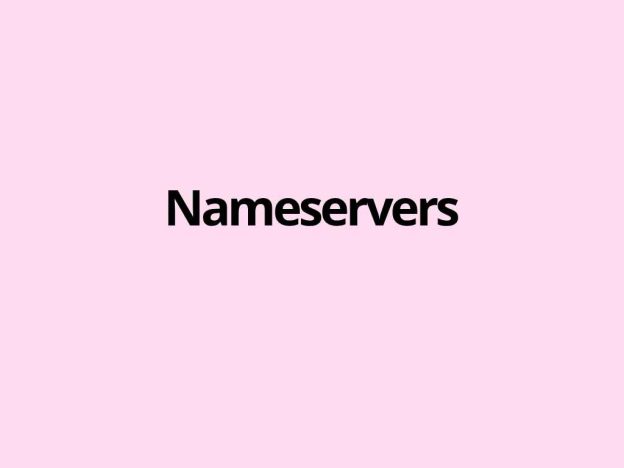 Nameservers - the servers that publish the official DNS records for a domain