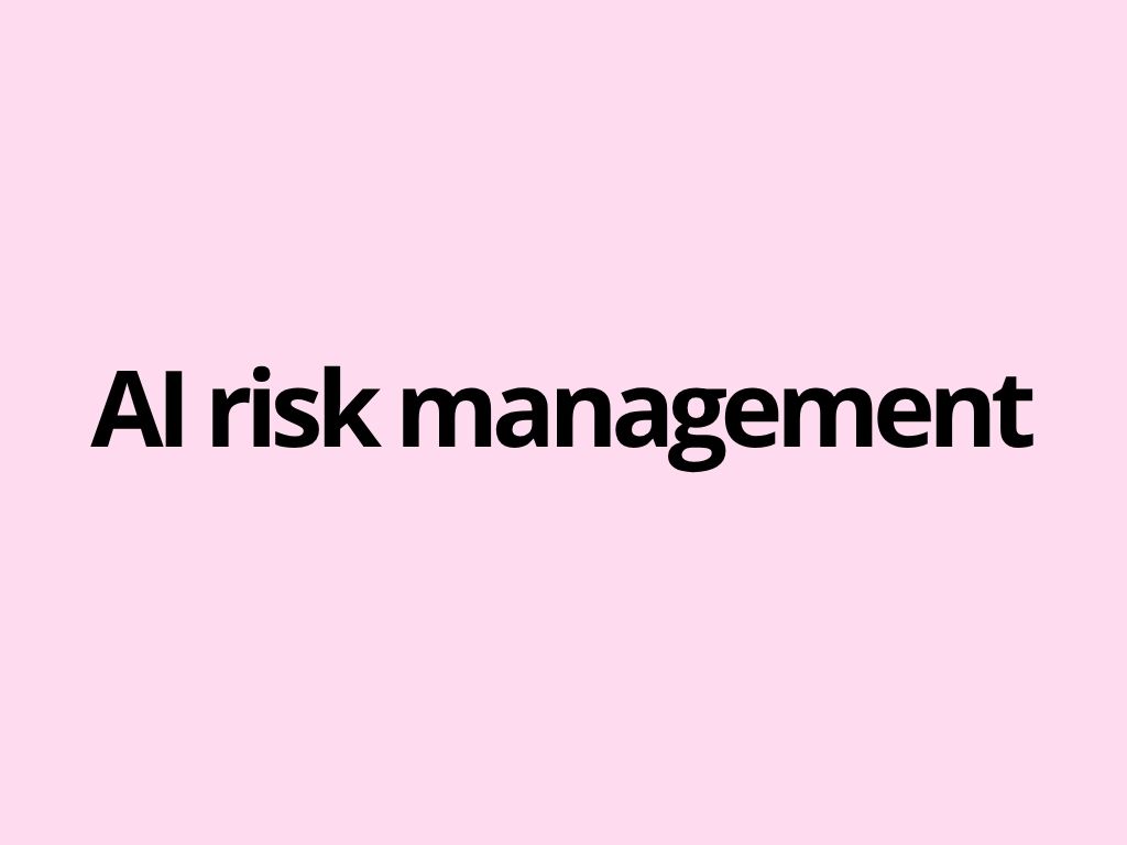 AI risk management